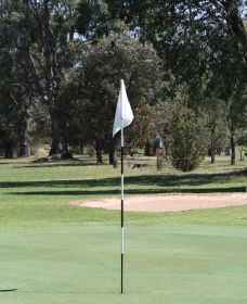 Inverell Golf Club - Tourism Caloundra 1