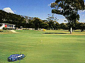 Bicheno TAS Tourism Caloundra