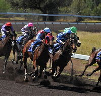 Alice Springs Turf Club - Tourism Caloundra