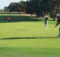 Waikerie Golf Club - Tourism Caloundra