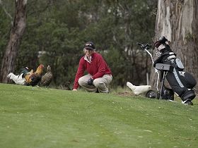 Cambridge TAS Tourism Caloundra