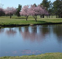 RMC Golf Club - Tourism Caloundra
