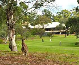 Merimbula NSW Tourism Caloundra