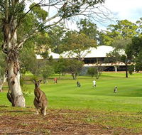 Pambula Merimbula Golf Club - Tourism Caloundra