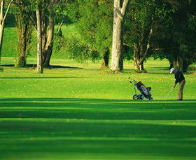 Foster VIC Tourism Caloundra