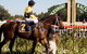 Hawkesbury Race Club - thumb 2