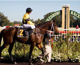 Hawkesbury Race Club - Tourism Caloundra 2