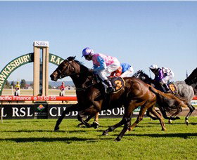 Hawkesbury Race Club - Tourism Caloundra 1