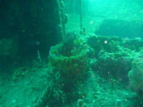 Wallaroo Scuba Club - Tourism Caloundra 0