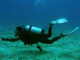 Wallaroo Scuba Club - Tourism Caloundra 1