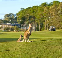 Sanctuary Cove Golf and Country Club - Tourism Caloundra
