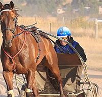 Ballarat  District Trotting Club - Tourism Caloundra
