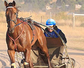 Ballarat & District Trotting Club - Tourism Caloundra 0