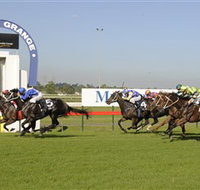 Kembla Grange Racecourse - Illawarra Turf Club - Tourism Caloundra