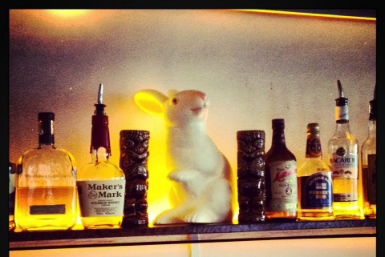 Hairy Canary - Tourism Caloundra 0