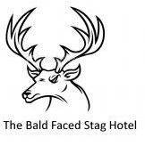 Bald Faced Stag - Tourism Caloundra 0