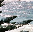 Bondi Social - Tourism Caloundra
