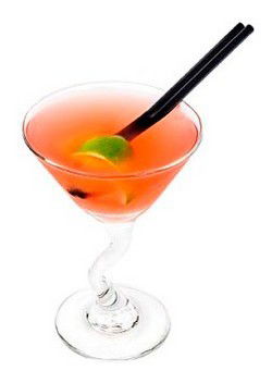 Easts Bondi Junction - Tourism Caloundra 1