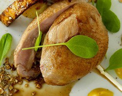 Lobby Lounge And Terrace - Tourism Caloundra 3