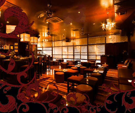 Hippo Lounge Bar - Tourism Caloundra
