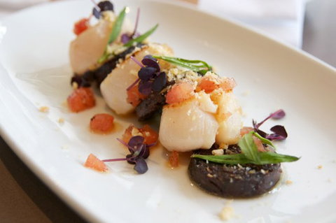 Garfish - Tourism Caloundra 3