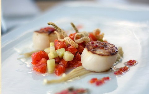 Garfish - Tourism Caloundra 4