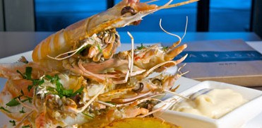 Garfish - Tourism Caloundra 5