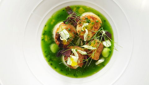 ARIA Sydney - Tourism Caloundra 2