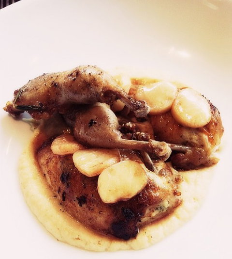 Cavallino - Tourism Caloundra 0