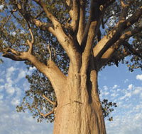 The Kimberley Grande - Tourism Caloundra