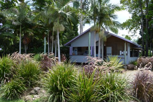 Wongaling Beach QLD Tourism Caloundra