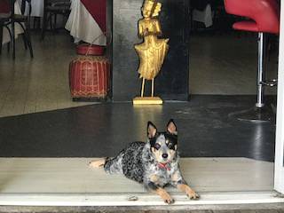 Gatakers Landing Restaurant - Tourism Caloundra 4