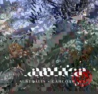 Antica Australis - Winter Fire Festival - Tourism Caloundra