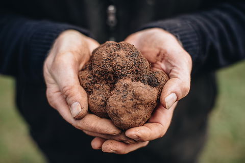 A Taste Of Truffles - Tourism Caloundra 0
