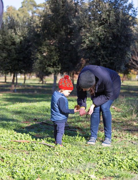A Taste Of Truffles - Tourism Caloundra 2