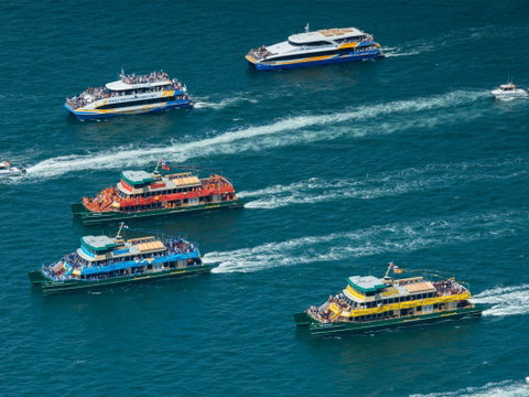Australia Day Sydney Harbour Cruises - Tourism Caloundra 1