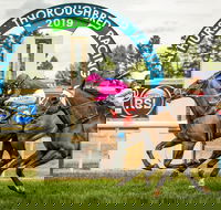 Bathurst Cup - Tourism Caloundra