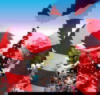 Blacktown Christmas Light Up Concert - Tourism Caloundra