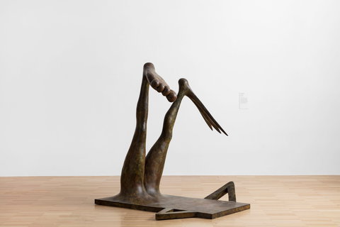 Camille Henrot - Tourism Caloundra 0