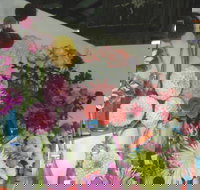 Dalgety Show - Tourism Caloundra