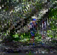 Elephant Trail Race - Tourism Caloundra