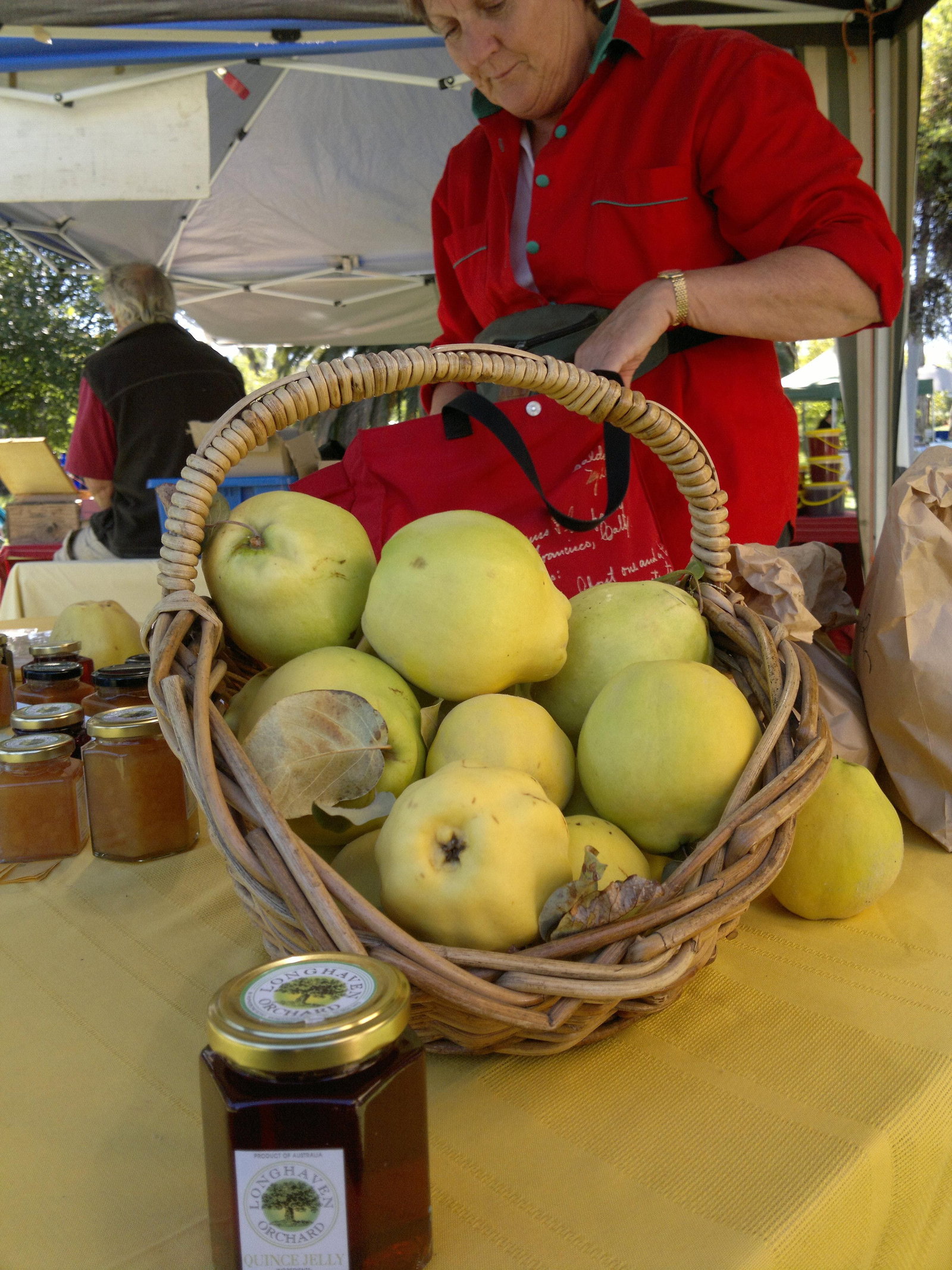 Ruffy VIC Tourism Caloundra