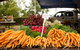 Evandale Market - Weekly - thumb 0