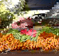 Evandale Market - Weekly - Tourism Caloundra
