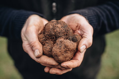 Feast And Forage - Craig's Royal Hotel - Tourism Caloundra 0