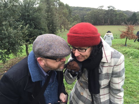 Feast And Forage - Craig's Royal Hotel - Tourism Caloundra 1