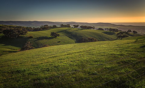 Festival Of Nature - Tourism Caloundra 1