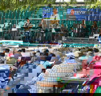 Festival in the Park - Tourism Caloundra