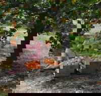 Fruit Bottling Sessions at Rayner's Orchard - Tourism Caloundra