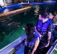 Glass Bottom Boat Tour - Tourism Caloundra